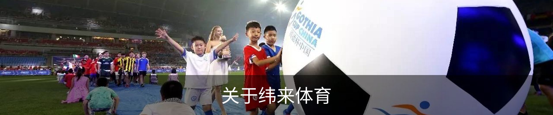 关于纬来体育